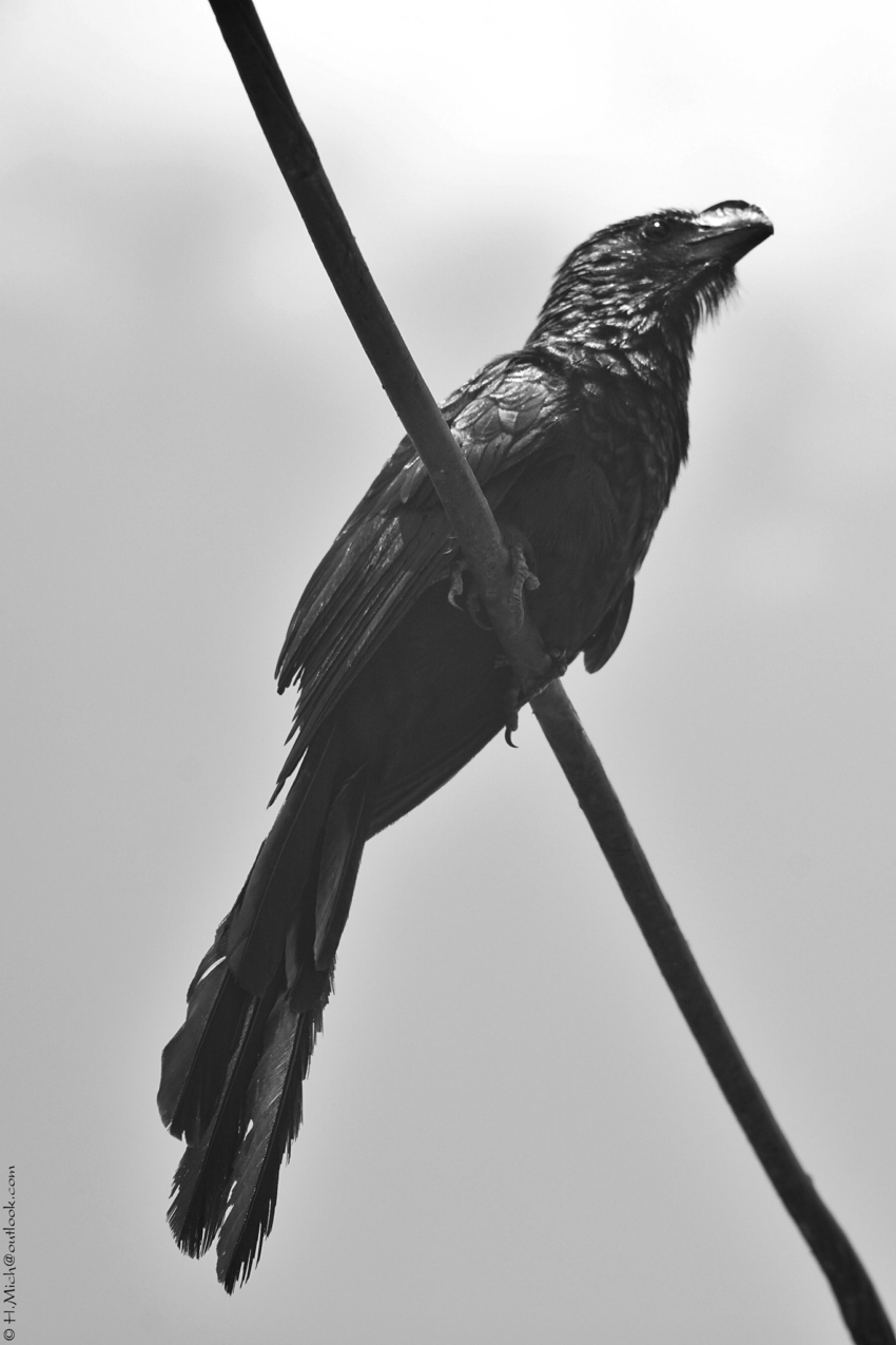 Studio-One.Art.br Repo Fotografia em Rio Preto SP/Brasil