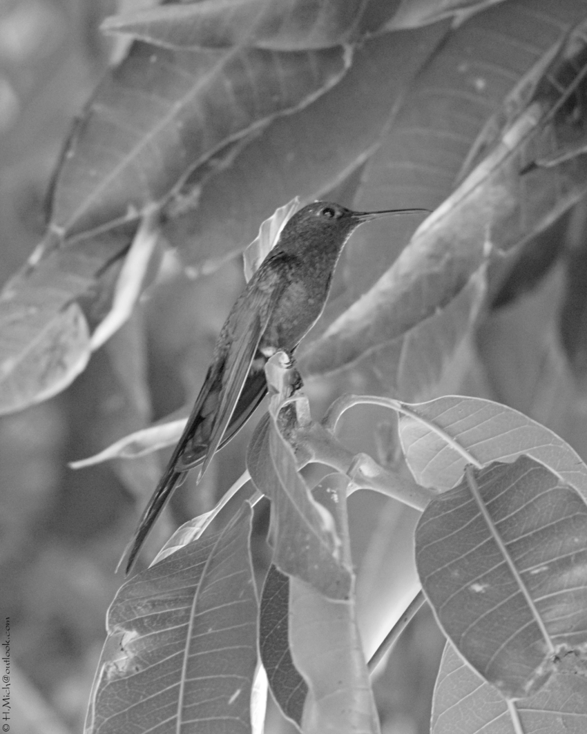 Studio-One.Art.br Repo Fotografia em Rio Preto SP/Brasil