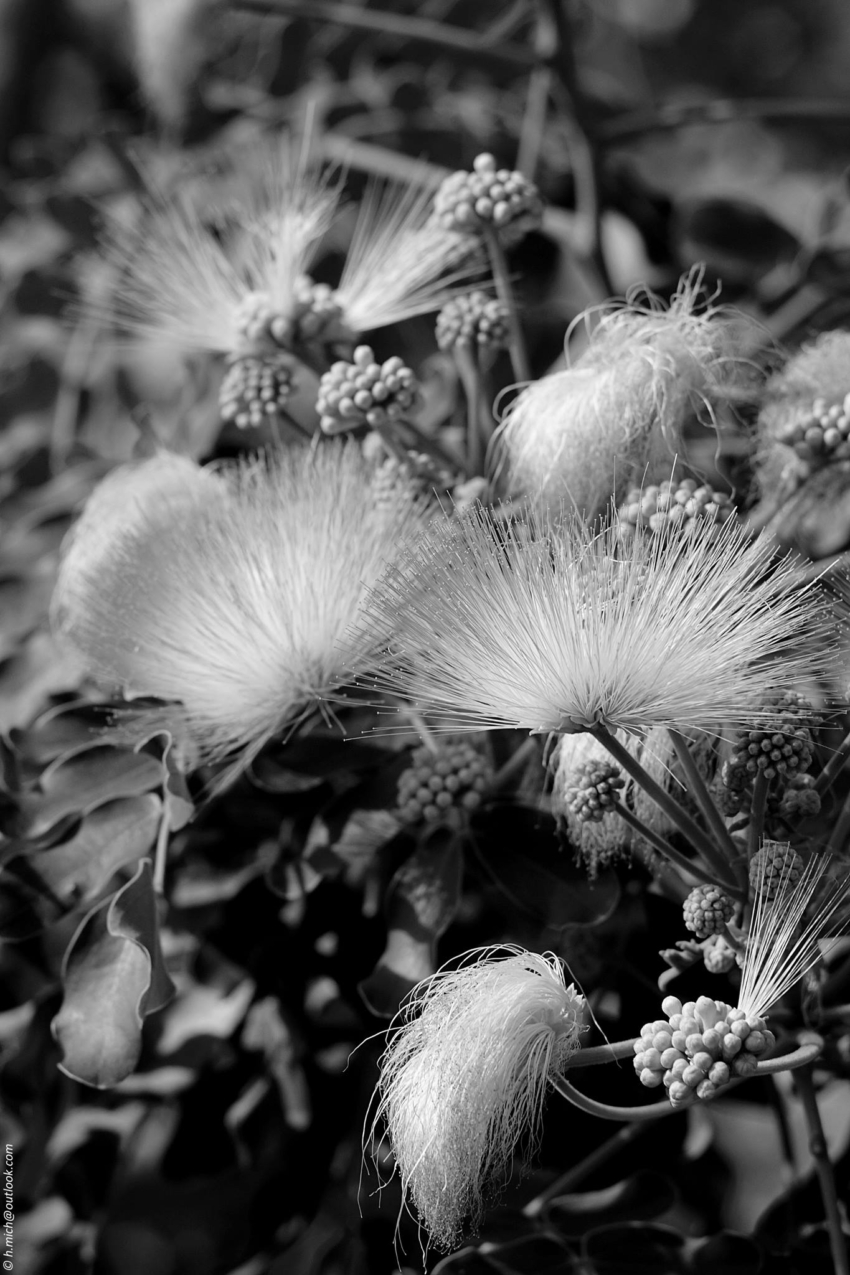 Studio-One.Art.br Repo Fotografia em Rio Preto SP/Brasil