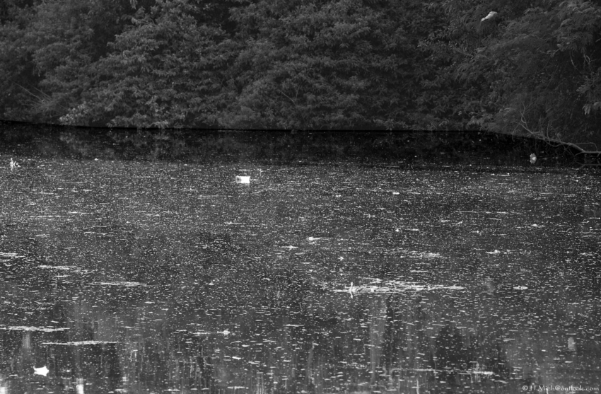 Studio-One.Art.br Repo Fotografia em Rio Preto SP/Brasil