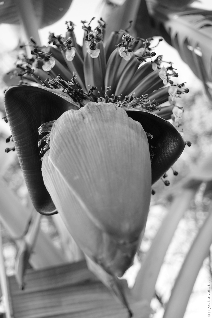 Studio-One.Art.br Repo Fotografia em Rio Preto SP/Brasil