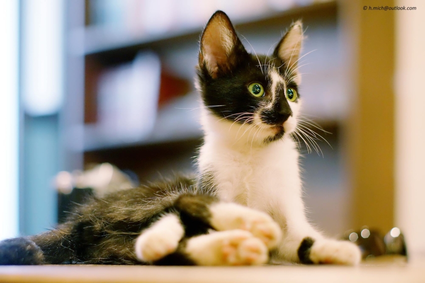 Studio-One.Art.br Repo Fotografia em Rio Preto SP/Brasil