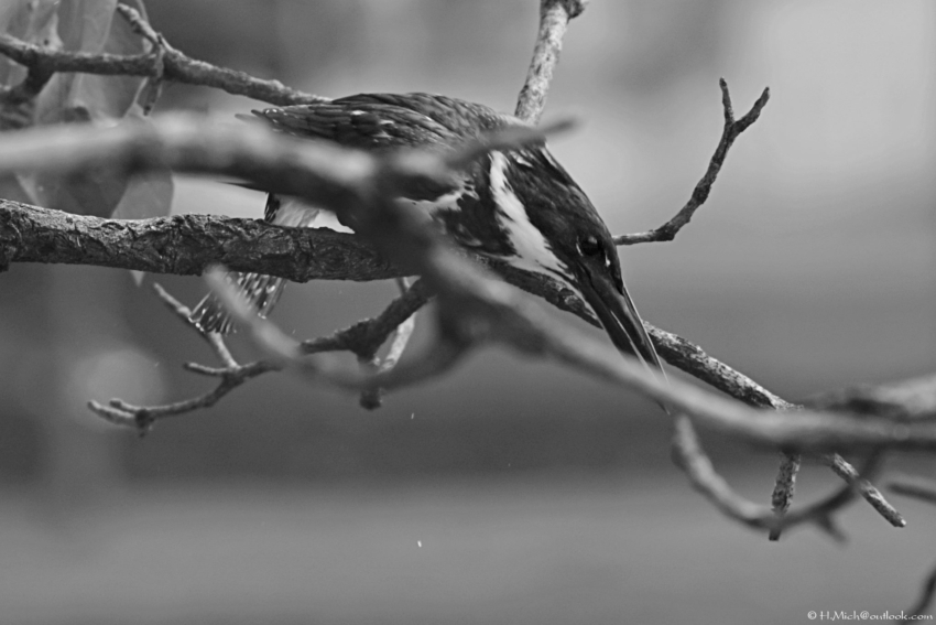 Studio-One.Art.br Repo Fotografia em Rio Preto SP/Brasil