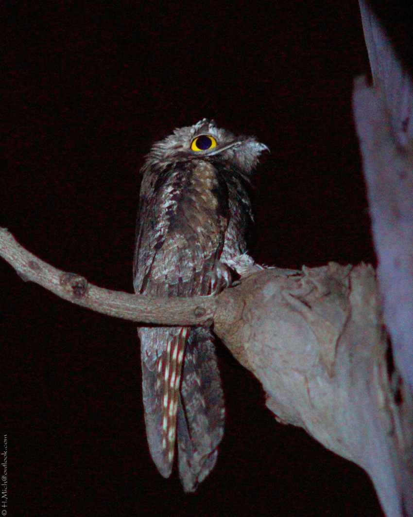 Studio-One.Art.br Repo Fotografia em Rio Preto SP/Brasil