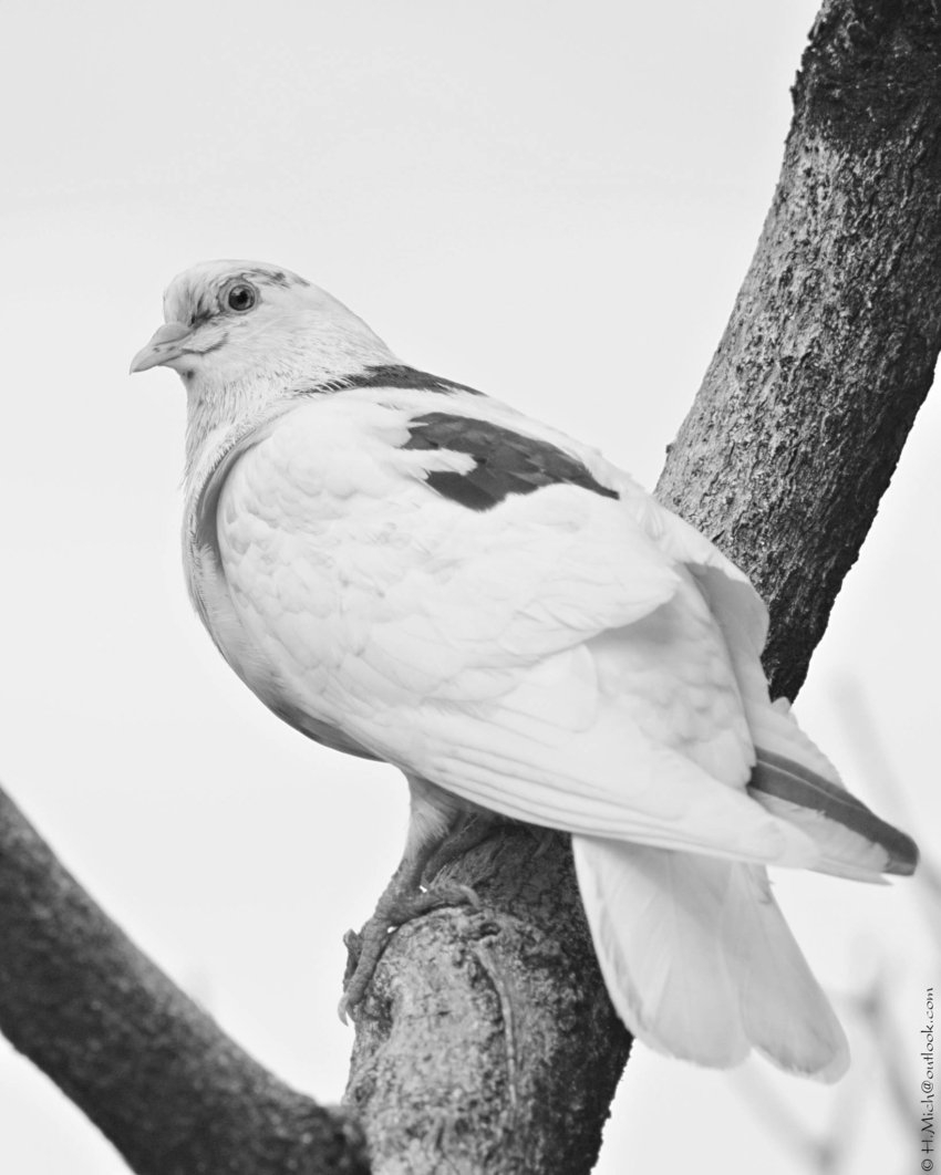 Studio-One.Art.br Repo Fotografia em Rio Preto SP/Brasil