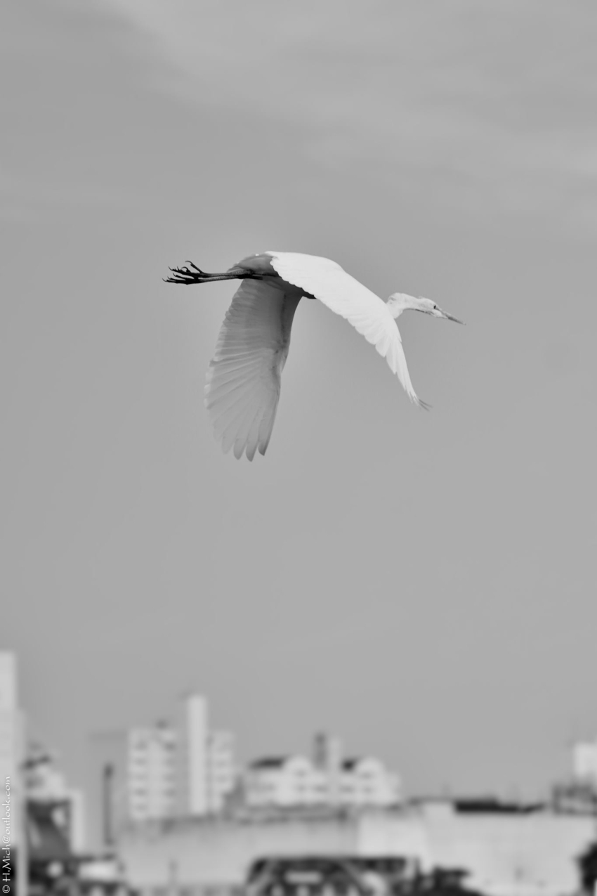 Studio-One.Art.br Repo Fotografia em Rio Preto SP/Brasil