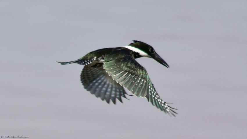 Studio-One.Art.br Repo Fotografia em Rio Preto SP/Brasil