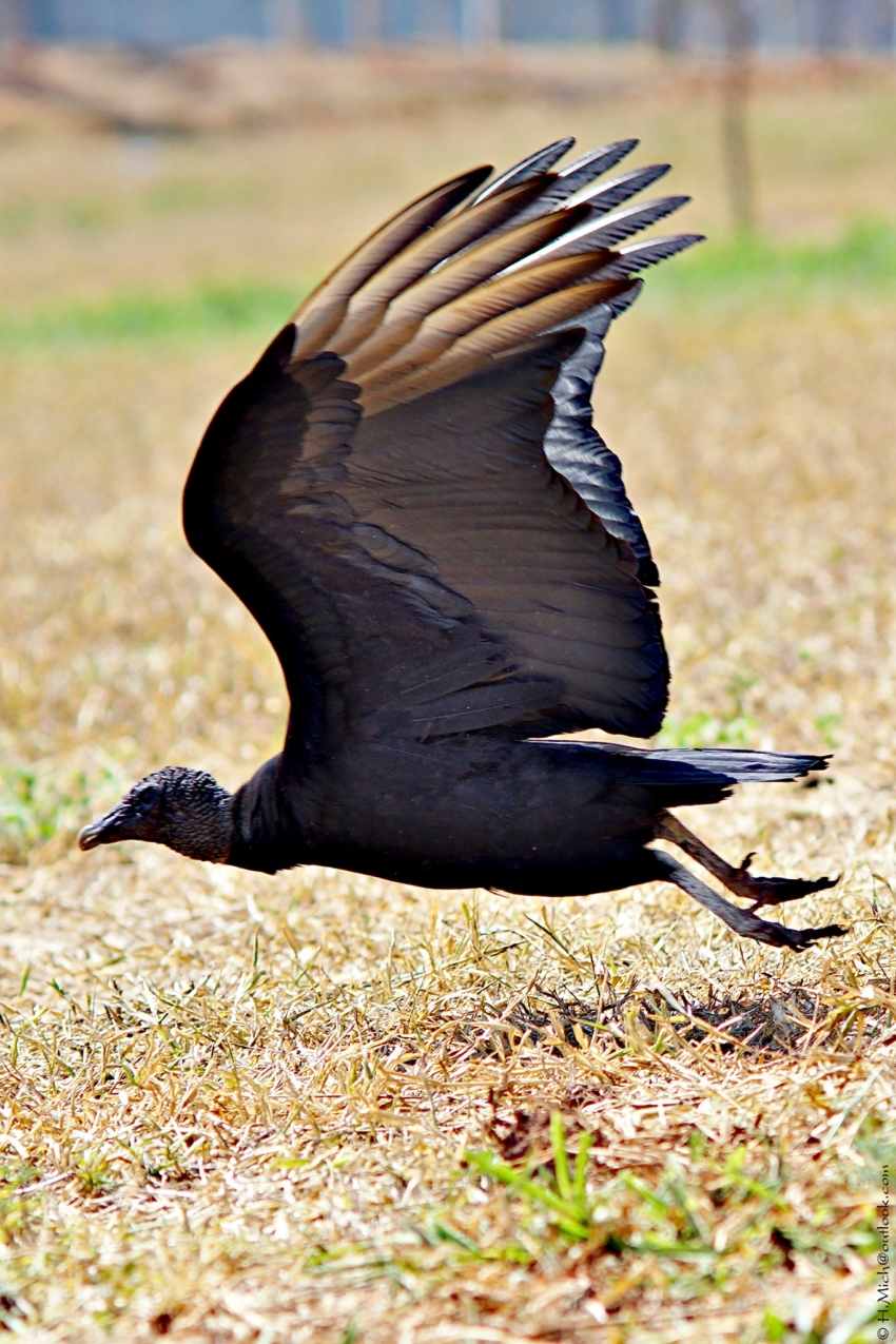 Studio-One.Art.br Repo Fotografia em Rio Preto SP/Brasil