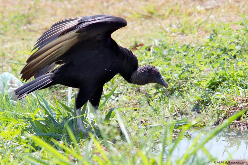 Studio-One.Art.br Repo Fotografia em Rio Preto SP/Brasil