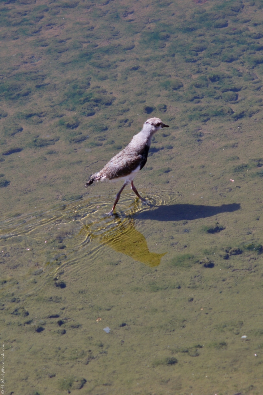 Studio-One.Art.br Repo Fotografia em Rio Preto SP/Brasil