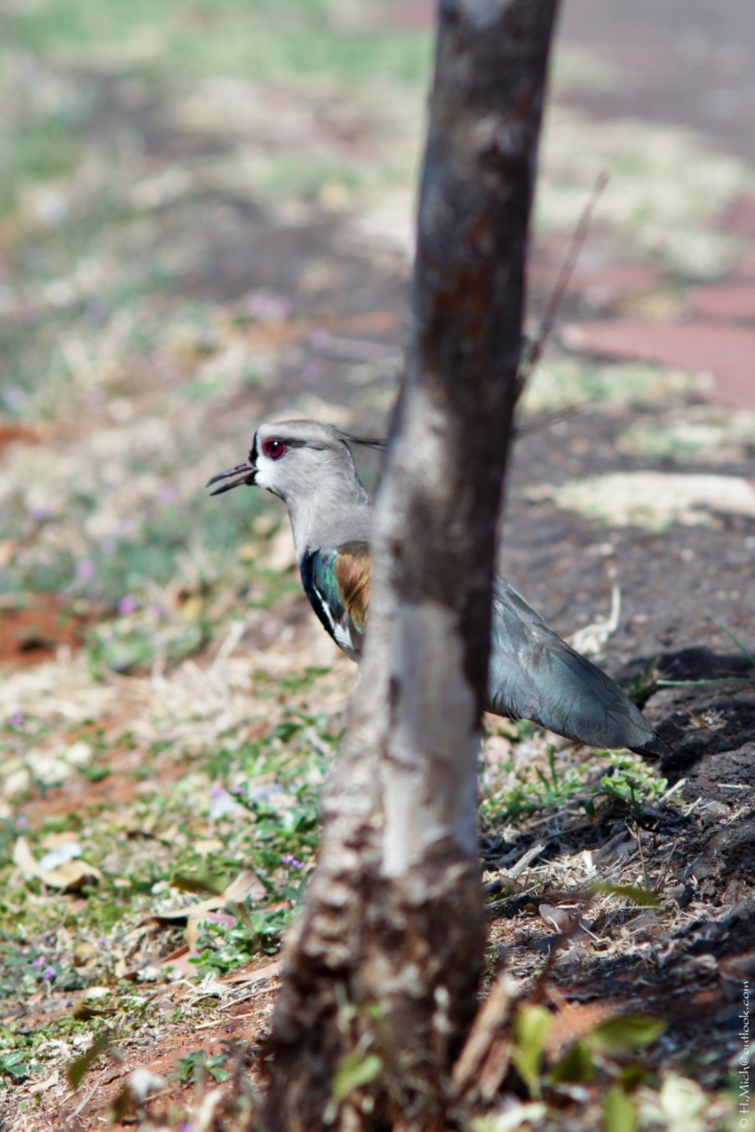 Studio-One.Art.br Repo Fotografia em Rio Preto SP/Brasil