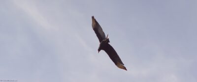 2022 06 15(52)