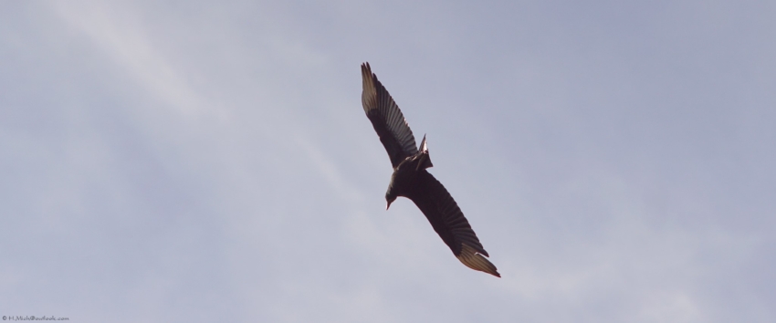 Studio-One.Art.br Repo Fotografia em Rio Preto SP/Brasil