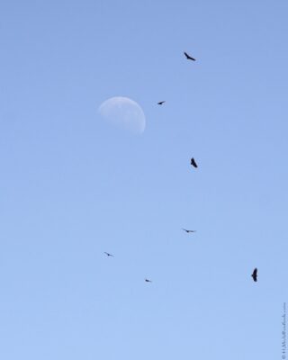 2022 06 15(52)