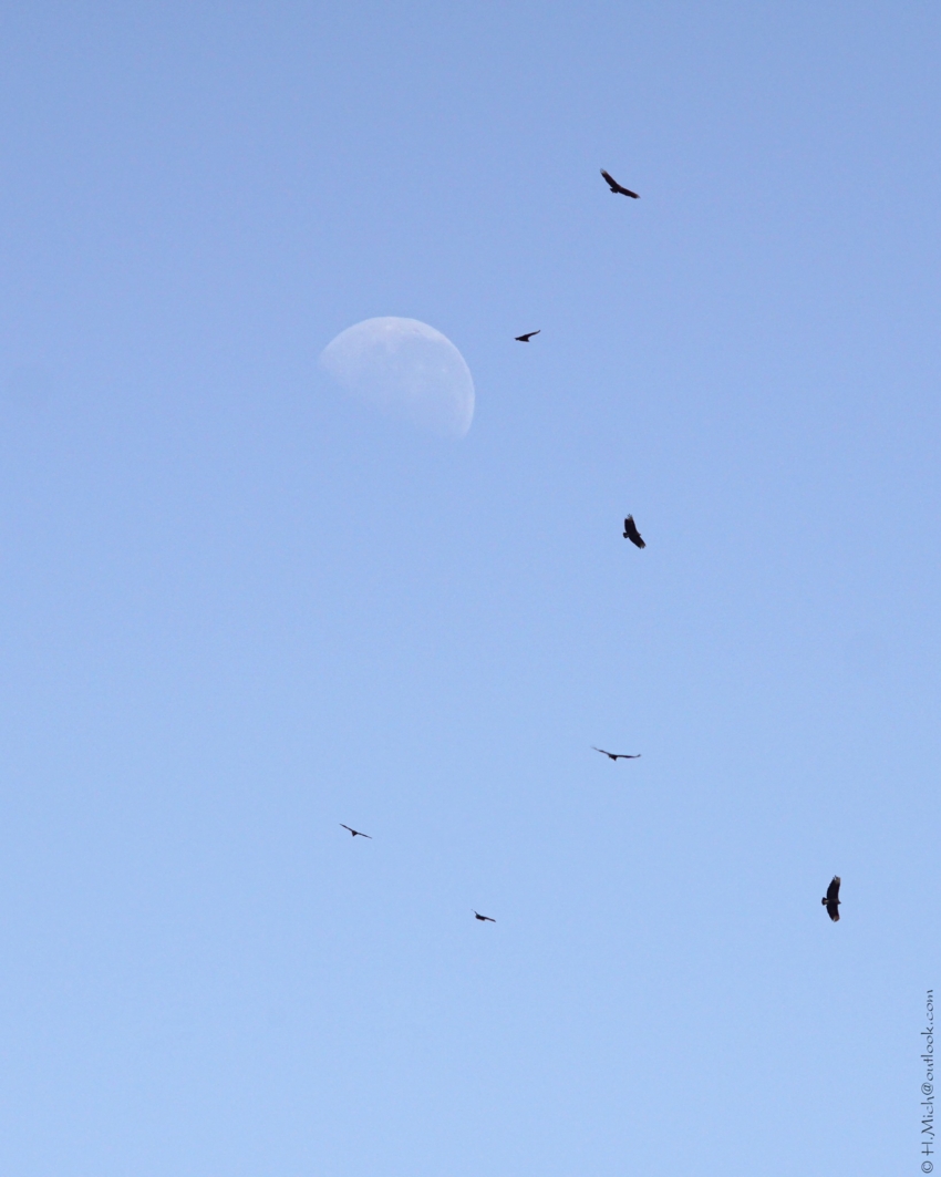 Studio-One.Art.br Repo Fotografia em Rio Preto SP/Brasil