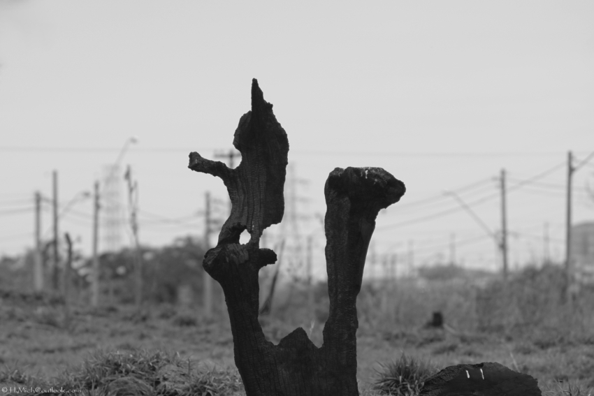 Studio-One.Art.br Repo Fotografia em Rio Preto SP/Brasil