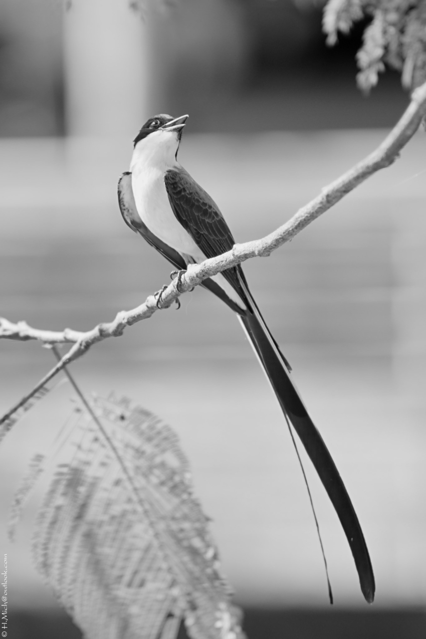 Studio-One.Art.br Repo Fotografia em Rio Preto SP/Brasil