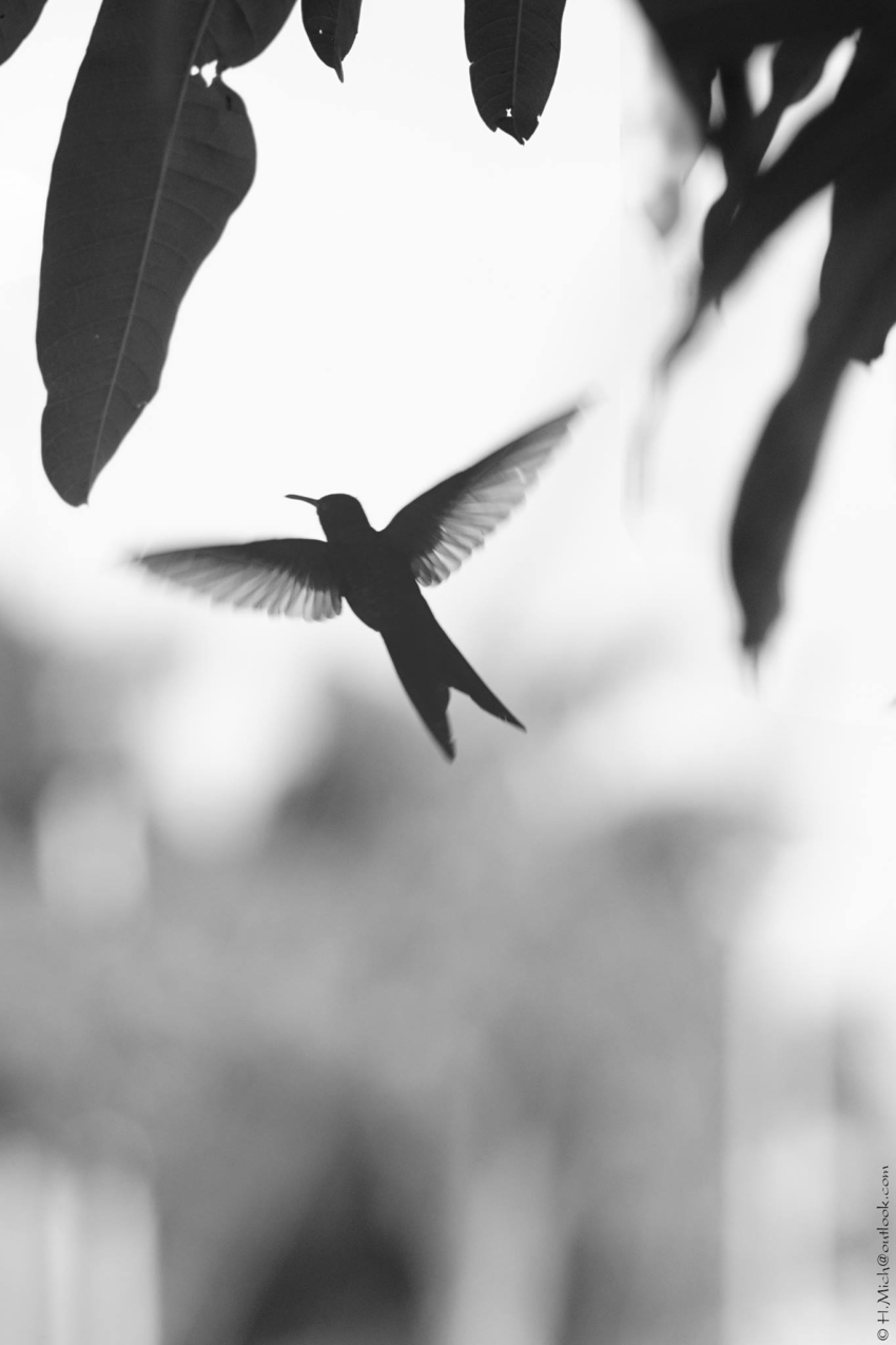 Studio-One.Art.br Repo Fotografia em Rio Preto SP/Brasil