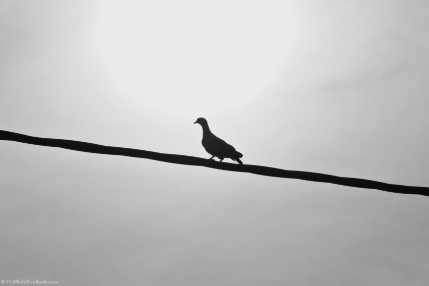 Studio-One.Art.br Repo Fotografia em Rio Preto SP/Brasil