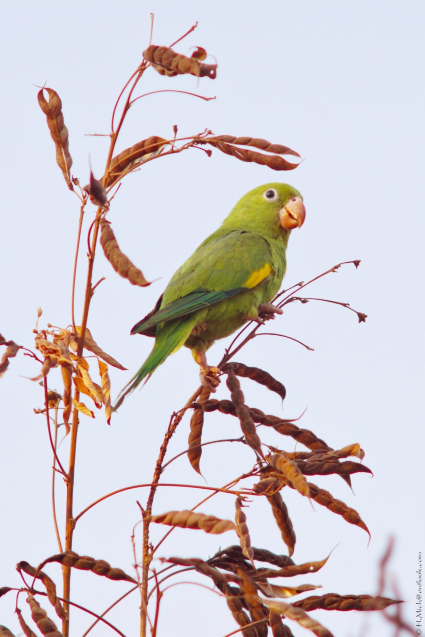 Studio-One.Art.br Repo Fotografia em Rio Preto SP/Brasil