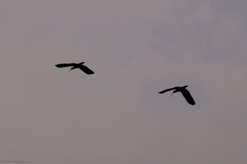 Studio-One.Art.br Repo Fotografia em Rio Preto SP/Brasil