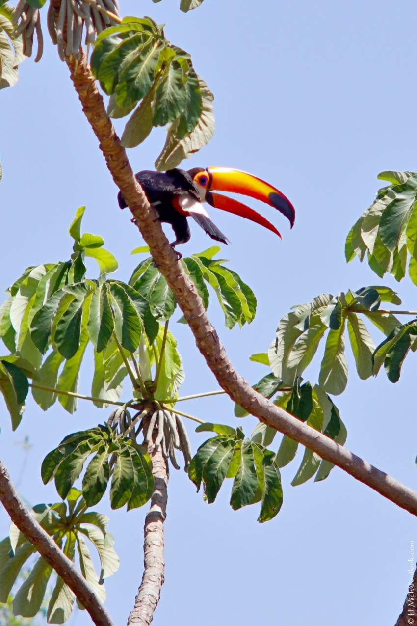 Studio-One.Art.br Repo Fotografia em Rio Preto SP/Brasil