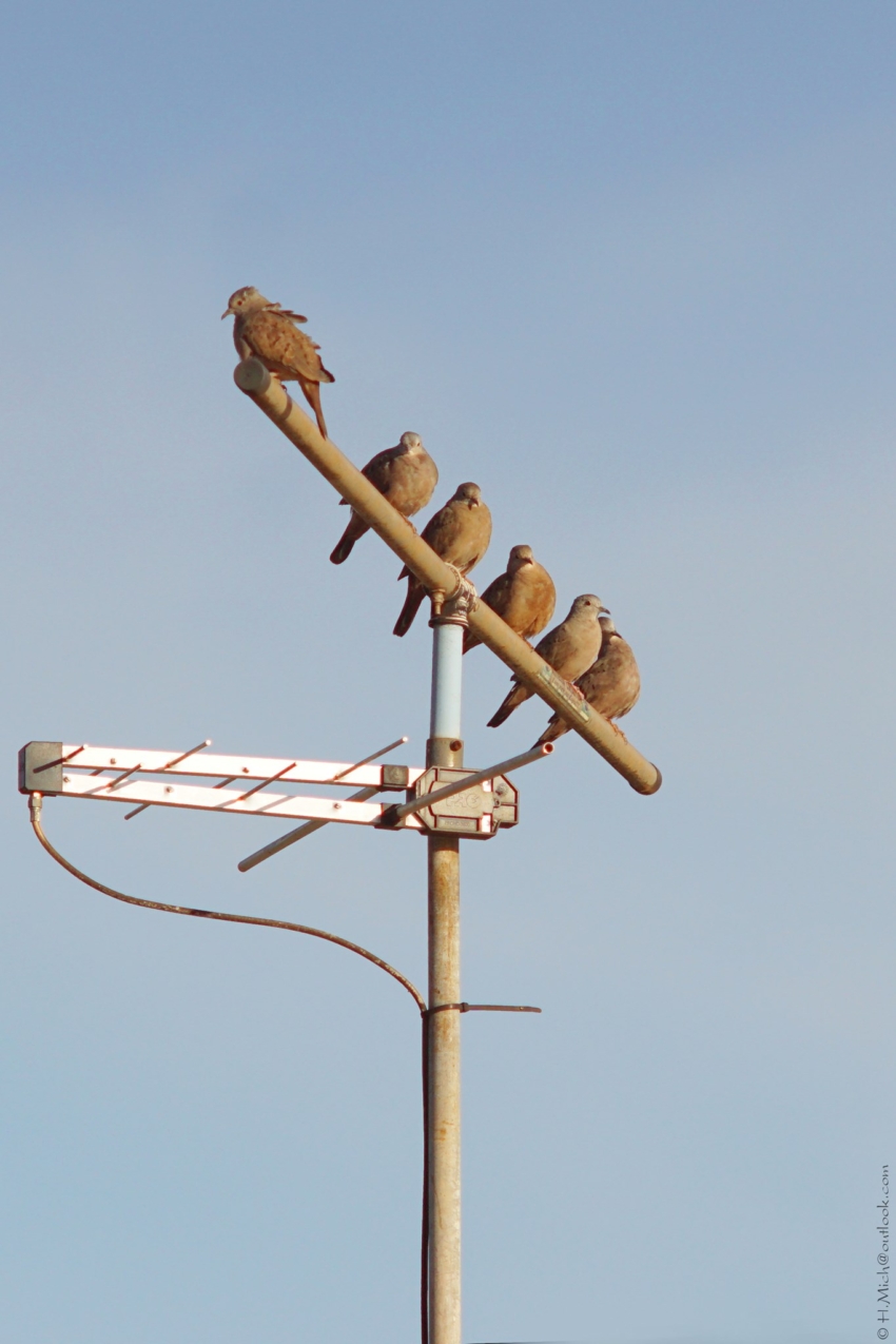 Studio-One.Art.br Repo Fotografia em Rio Preto SP/Brasil