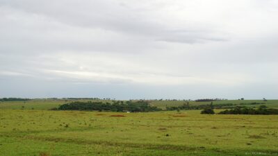 2022 06 15(53)