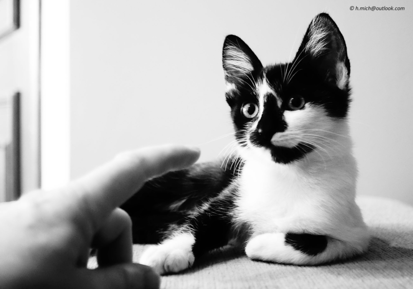 Studio-One.Art.br Repo Fotografia em Rio Preto SP/Brasil