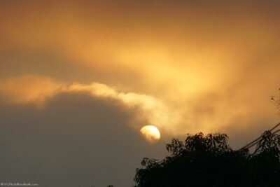2022 06 15(53)