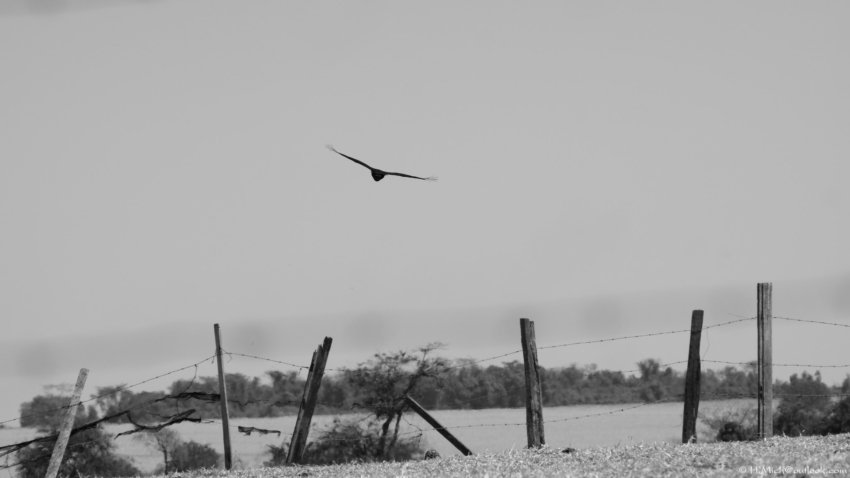 Studio-One.Art.br Repo Fotografia em Rio Preto SP/Brasil