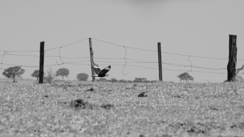 Studio-One.Art.br Repo Fotografia em Rio Preto SP/Brasil