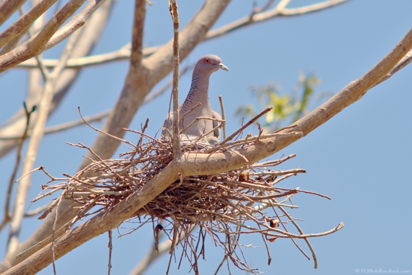 Studio-One.Art.br Repo Fotografia em Rio Preto SP/Brasil