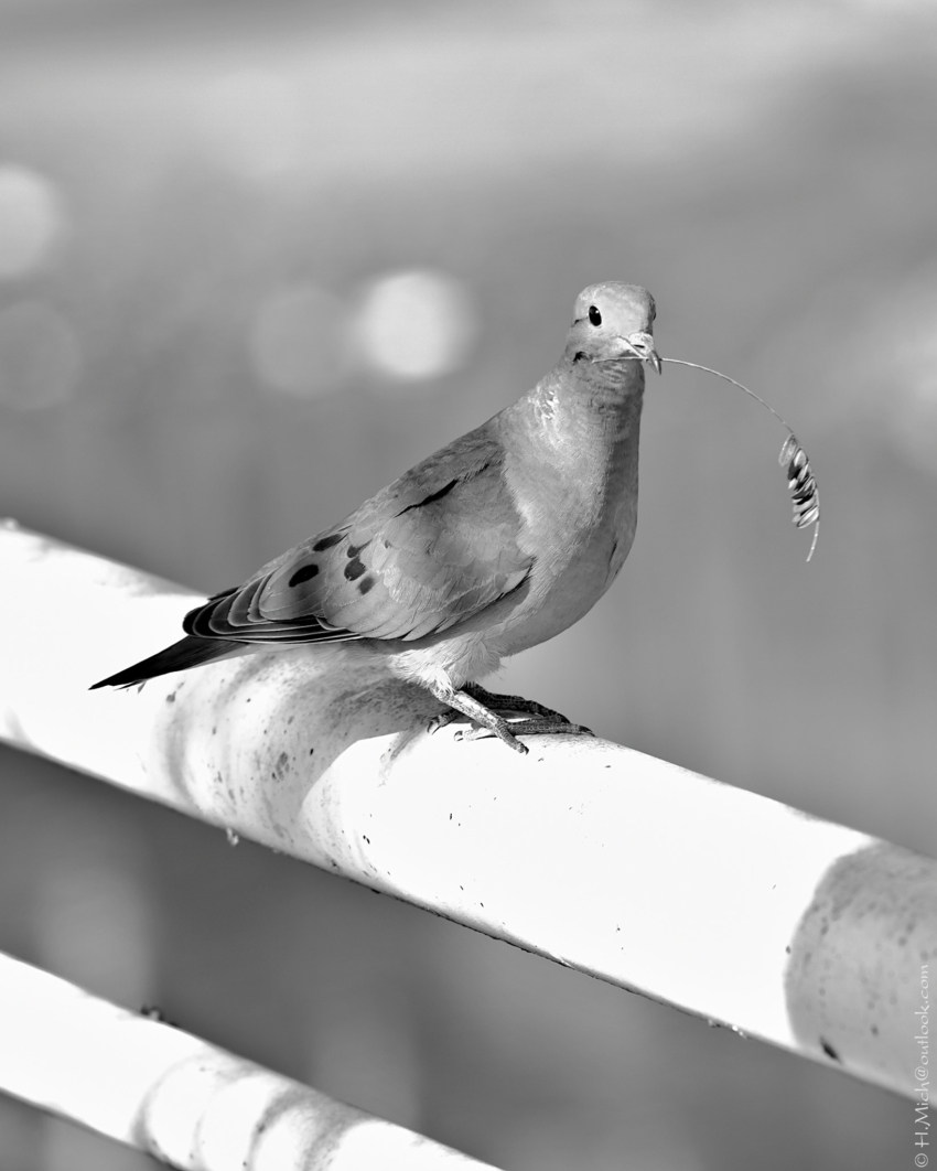 Studio-One.Art.br Repo Fotografia em Rio Preto SP/Brasil