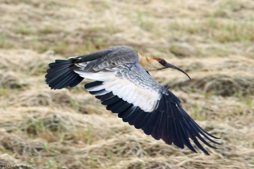 Studio-One.Art.br Repo Fotografia em Rio Preto SP/Brasil