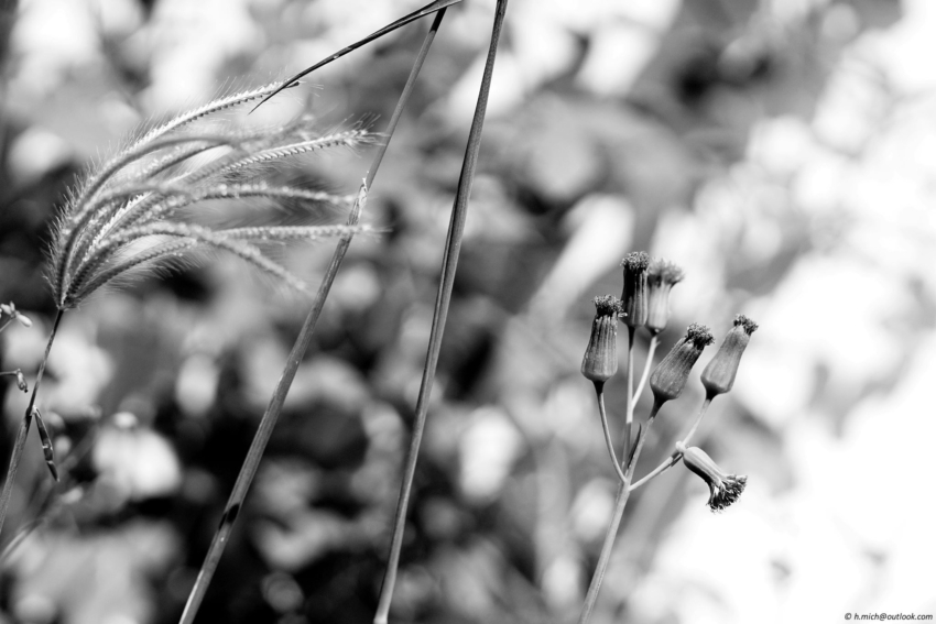 Studio-One.Art.br Repo Fotografia em Rio Preto SP/Brasil