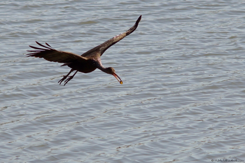 Studio-One.Art.br Repo Fotografia em Rio Preto SP/Brasil