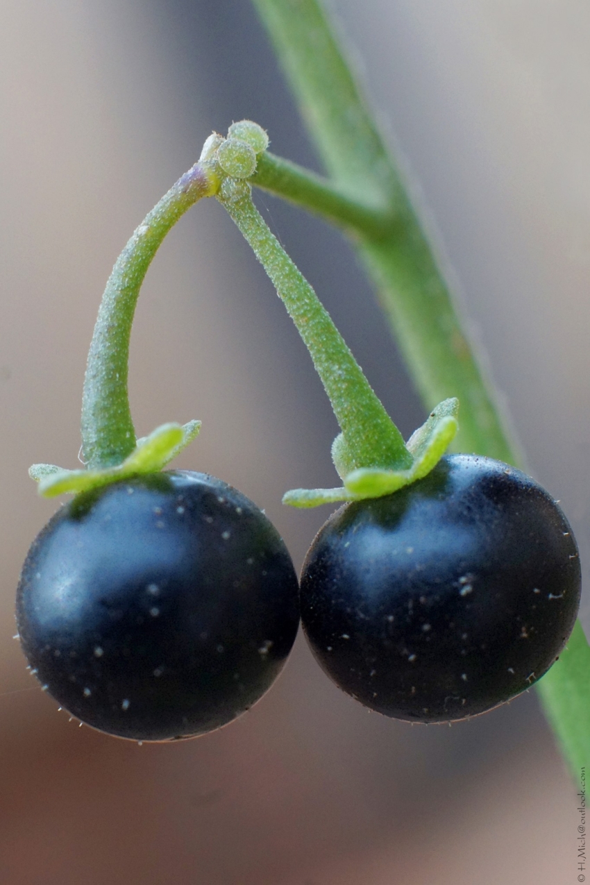 Studio-One.Art.br Repo Fotografia em Rio Preto SP/Brasil