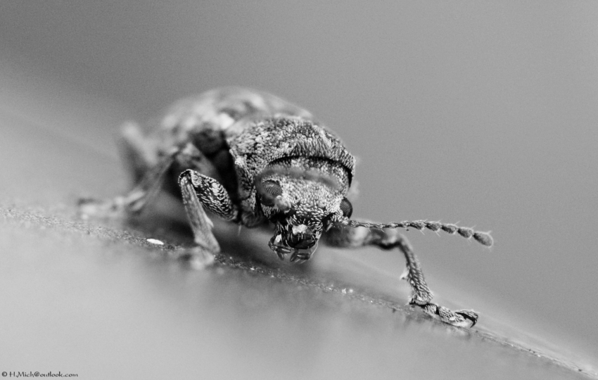 Studio-One.Art.br Repo Fotografia em Rio Preto SP/Brasil