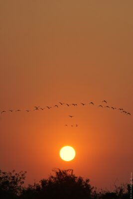 2022 06 15(54)