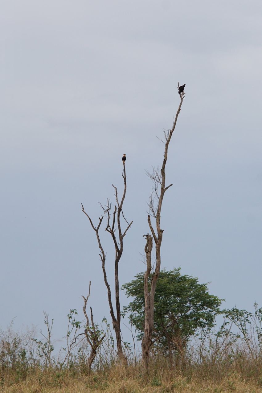 Studio-One.Art.br Repo Fotografia em Rio Preto SP/Brasil