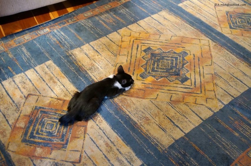 Studio-One.Art.br Repo Fotografia em Rio Preto SP/Brasil