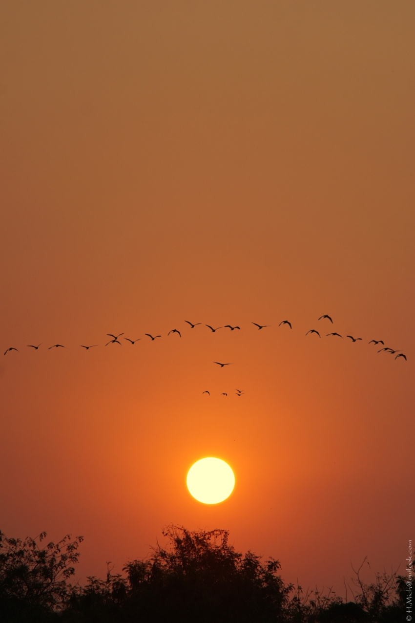 Studio-One.Art.br Repo Fotografia em Rio Preto SP/Brasil