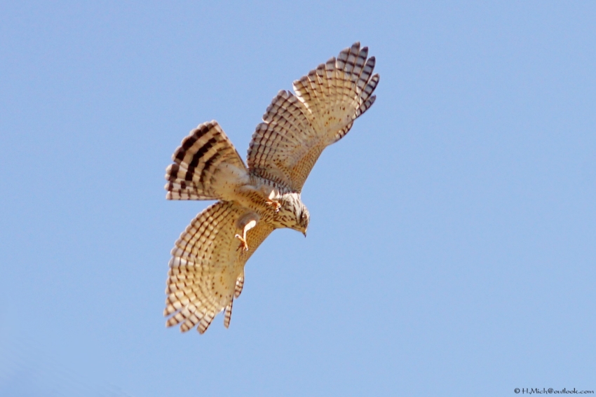 Studio-One.Art.br Repo Fotografia em Rio Preto SP/Brasil