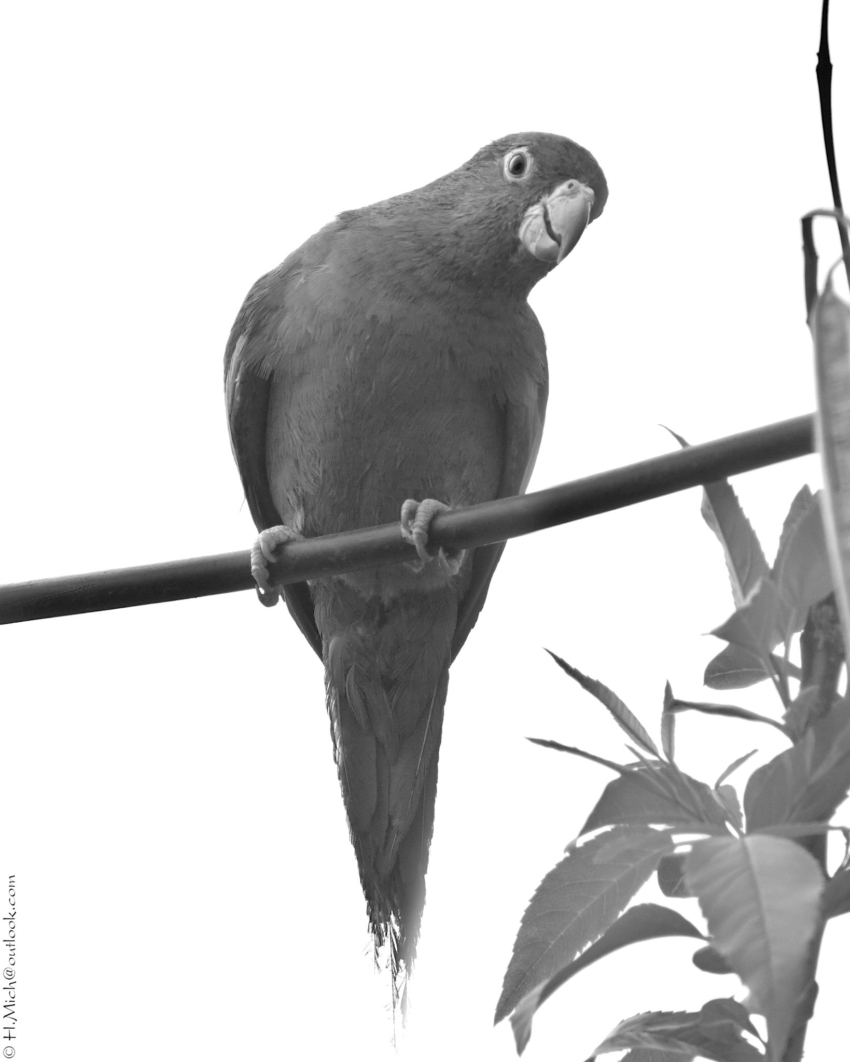 Studio-One.Art.br Repo Fotografia em Rio Preto SP/Brasil