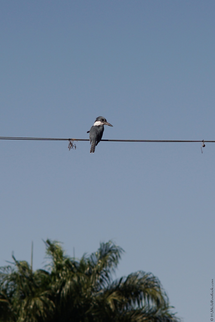 Studio-One.Art.br Repo Fotografia em Rio Preto SP/Brasil