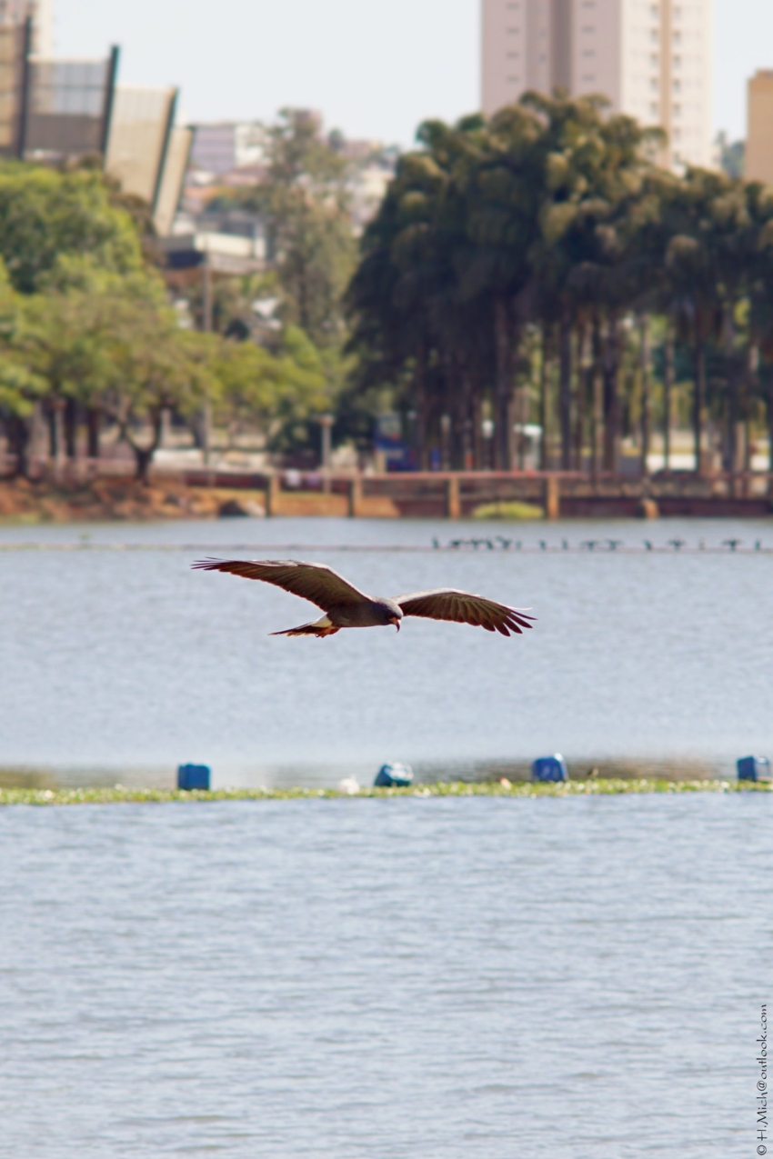 Studio-One.Art.br Repo Fotografia em Rio Preto SP/Brasil