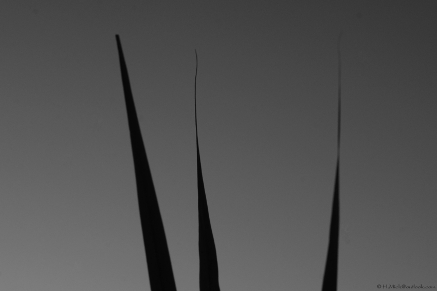 Studio-One.Art.br Repo Fotografia em Rio Preto SP/Brasil