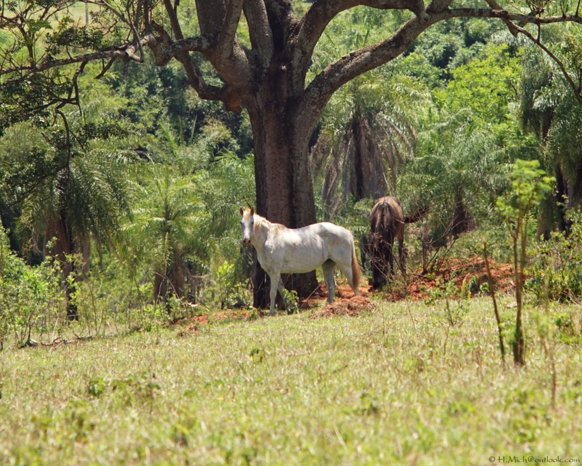 Studio-One.Art.br Repo Fotografia em Rio Preto SP/Brasil