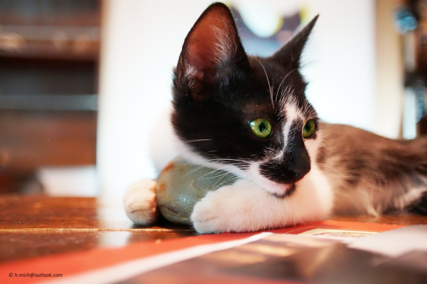 Studio-One.Art.br Repo Fotografia em Rio Preto SP/Brasil